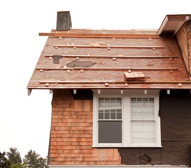 Affordable Siding Repair and Maintenance Services in Shiloh, OH